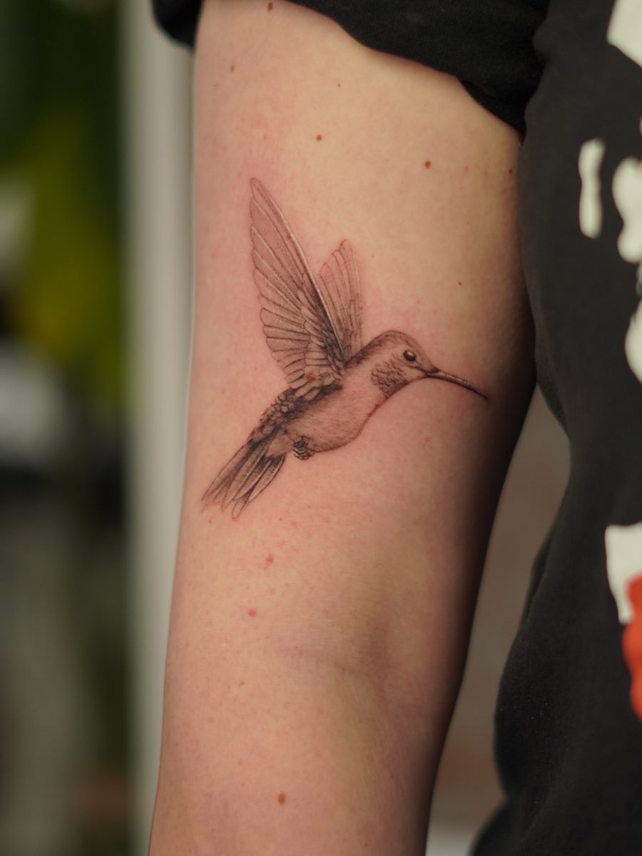 Black and grey realistic hummingbird tattooed on an arm